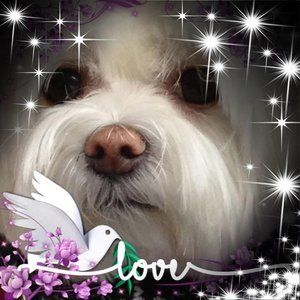 Meet your Posher, Corey